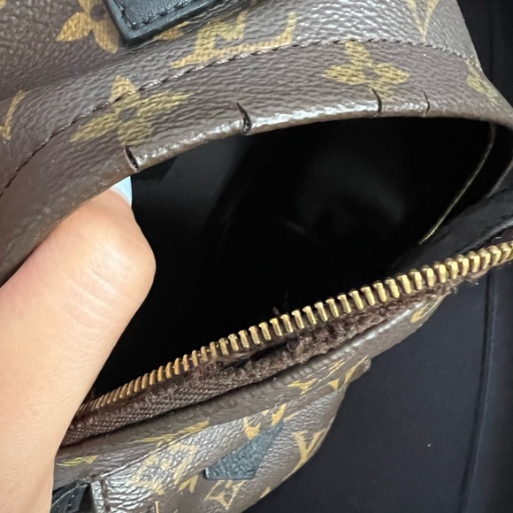 ✨Louis Vuitton LV Palm Springs Mini Monogram Backpack - Picture 9 of 10